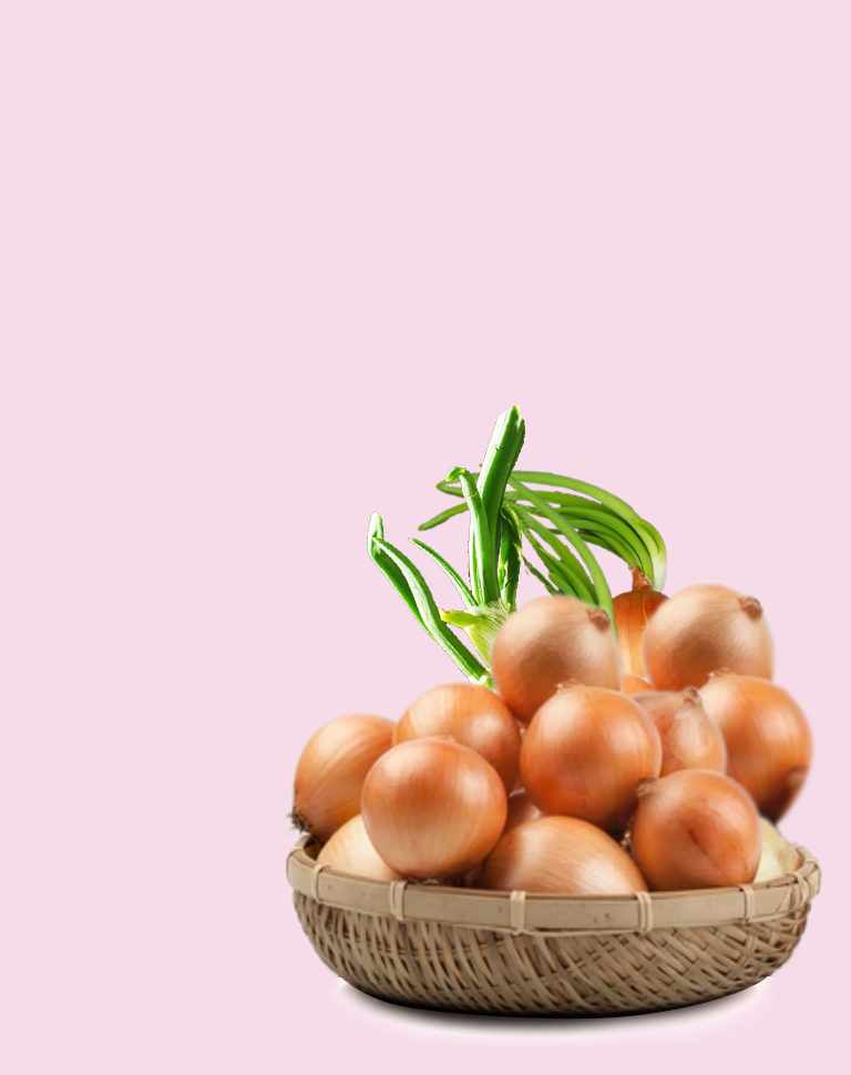 banner-onion banner-onion